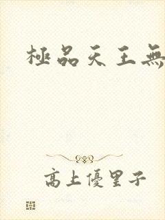 极品天王无弹窗