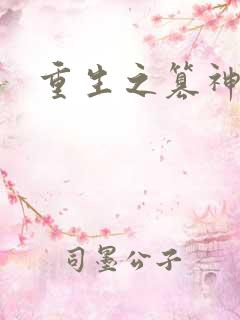 重生之篡神