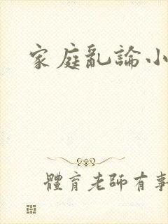 家庭乱论小说