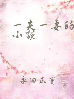 一夫一妻的玄幻小说