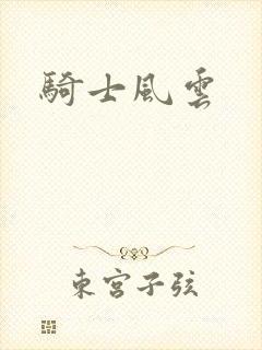 骑士风云