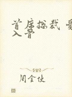 首席总裁 爱你入骨