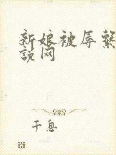 新娘被辱系列小说网