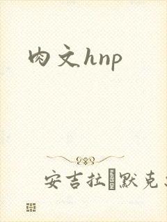 肉文hnp