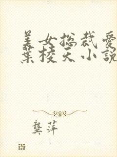 美女总裁爱上我叶棱天小说