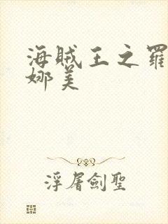 海贼王之罗宾h娜美