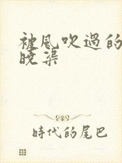 被风吹过的夏天晓渠