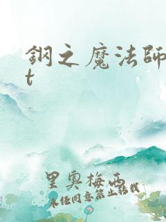钢之魔法师txt
