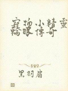 宠物小精灵之写轮眼传奇