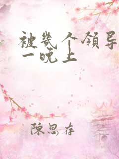 被几个领导玩弄一晚上