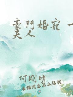 豪门婚宠 一品夫人