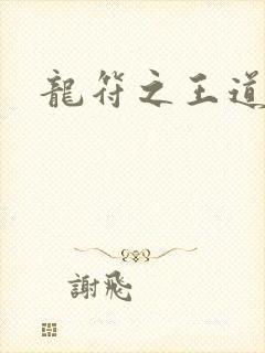 龙符之王道天下