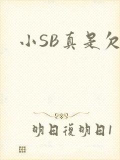 小SB真是欠C