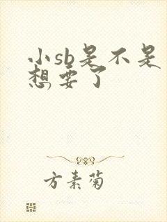 小sb是不是又想要了