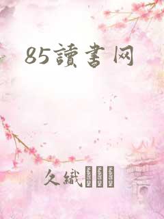 85读书网
