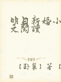 明日新婚小说全文阅读