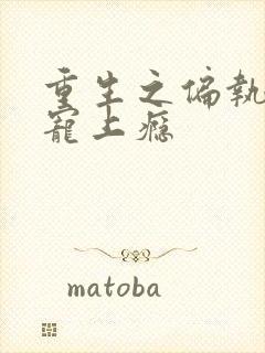 重生之偏执老公宠上瘾