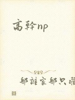 高干np