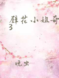 壁花小姐奇遇记3