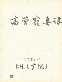 高管宠妻很丰满