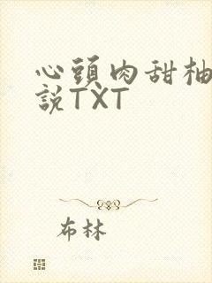 心头肉甜柚子小说TXT