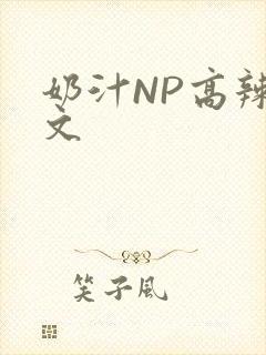 奶汁NP高辣H文