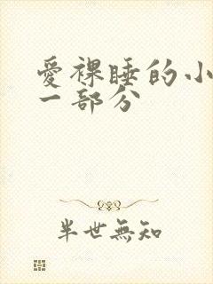 爱裸睡的小丹第一部分