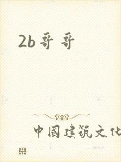 2b哥哥