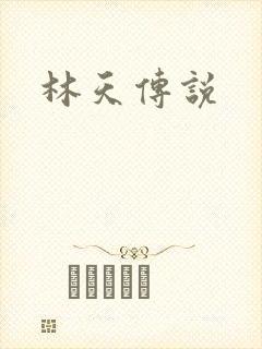 林天传说