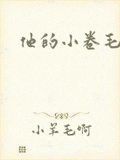 他的小卷毛