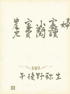 农家小寡妇全文免费阅读