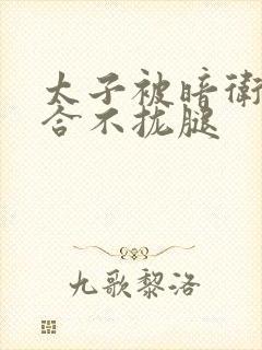 太子被暗卫c到合不拢腿