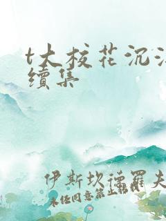 t大校花沉浮录续集