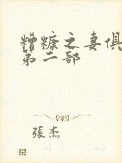 糟糠之妻俱乐部第二部