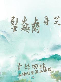 引火上身芝麻糖笔趣阁