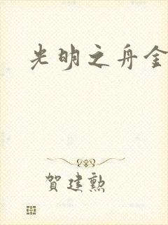 光明之舟金手指