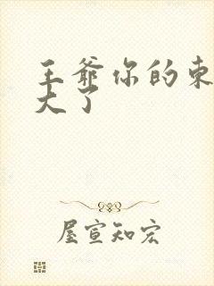 王爷你的东西太大了