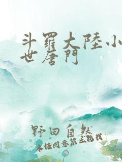 斗罗大陆小说绝世唐门