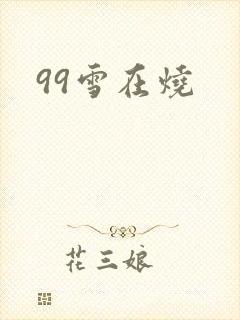 99雪在烧