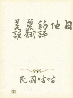 美丽的他日剧小说翻译