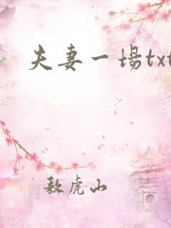夫妻一场txt