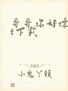 哥哥你好坏txt下载