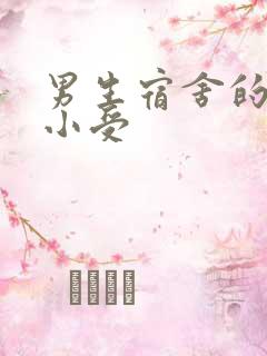 男生宿舍的公共小受