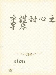 守护甜心之暗夜星辰