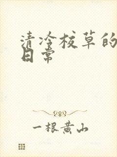 清冷校草的抹布日常