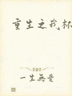 重生之我杯具了