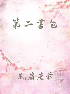第二书包