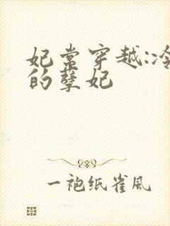 妃常穿越:冷王的孽妃