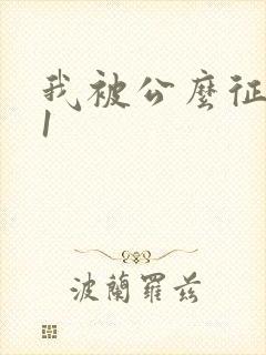 我被公么征服了1
