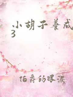 小胡子养成计划3